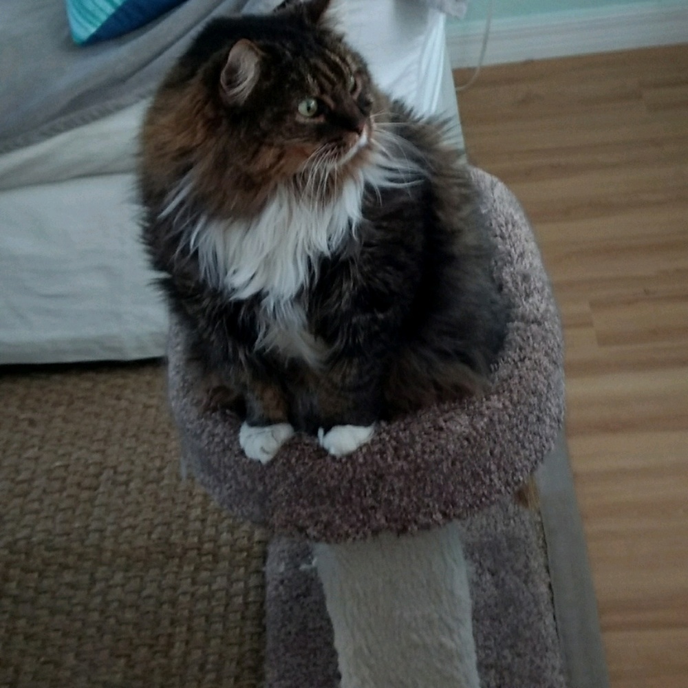 Meet your Posher, Cathy